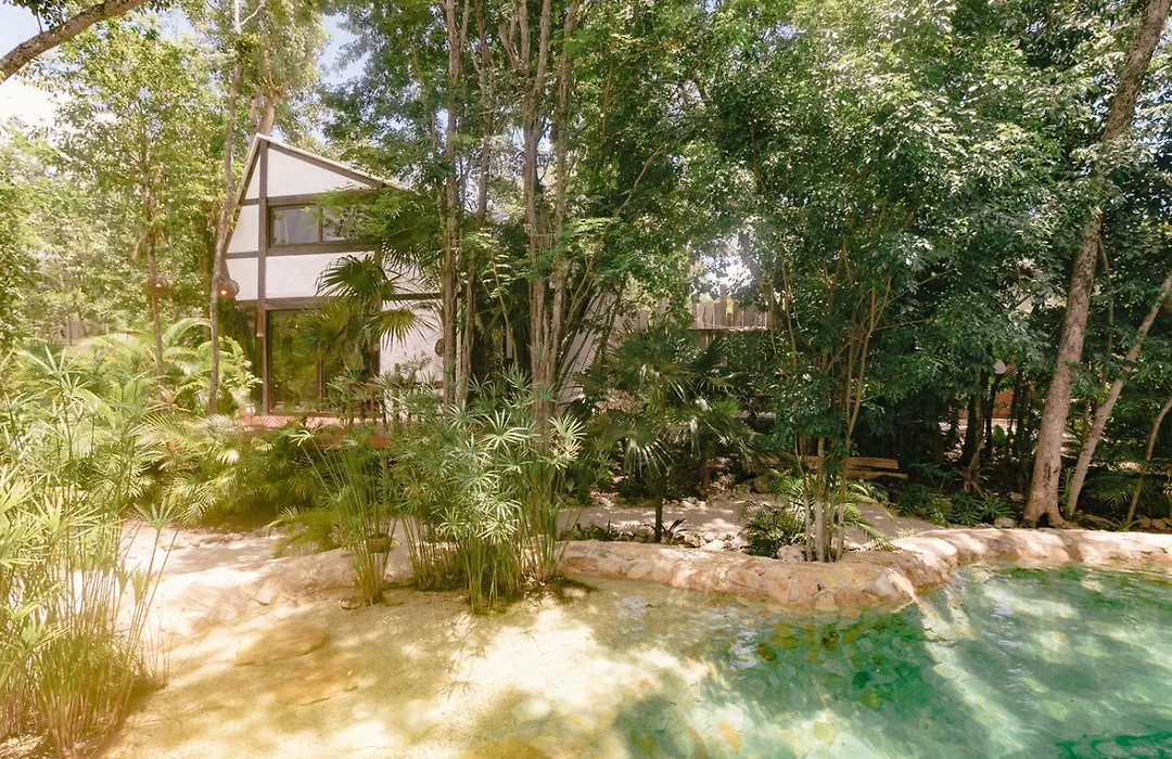 Nahouse Jungle Lodges-1