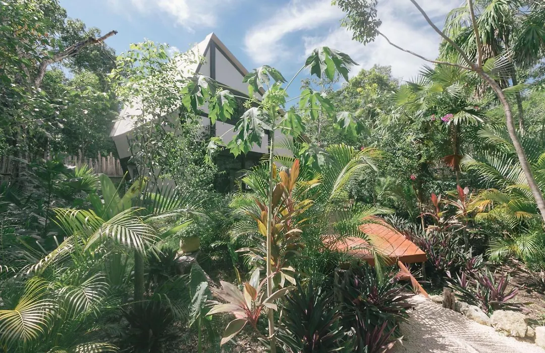 Nahouse Jungle Lodges-1