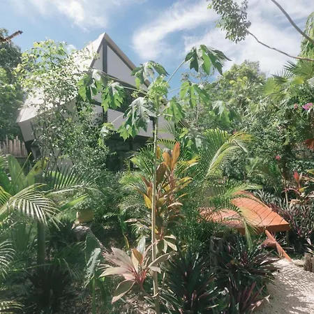 Nahouse Jungle Lodges-3